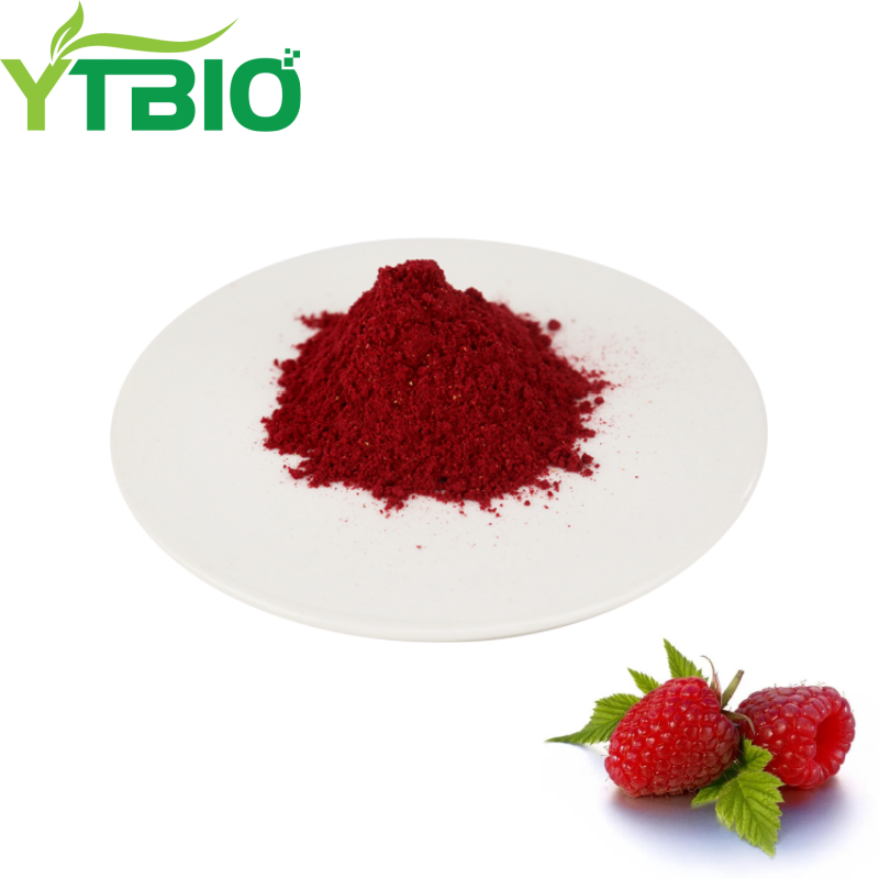 Raspberry Powder Bulk